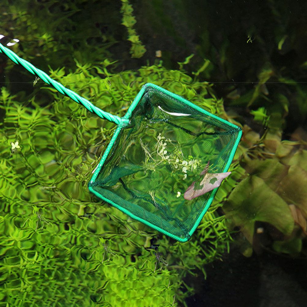 Aquarium Fishland - Lot de 2 épuisettes portables pour