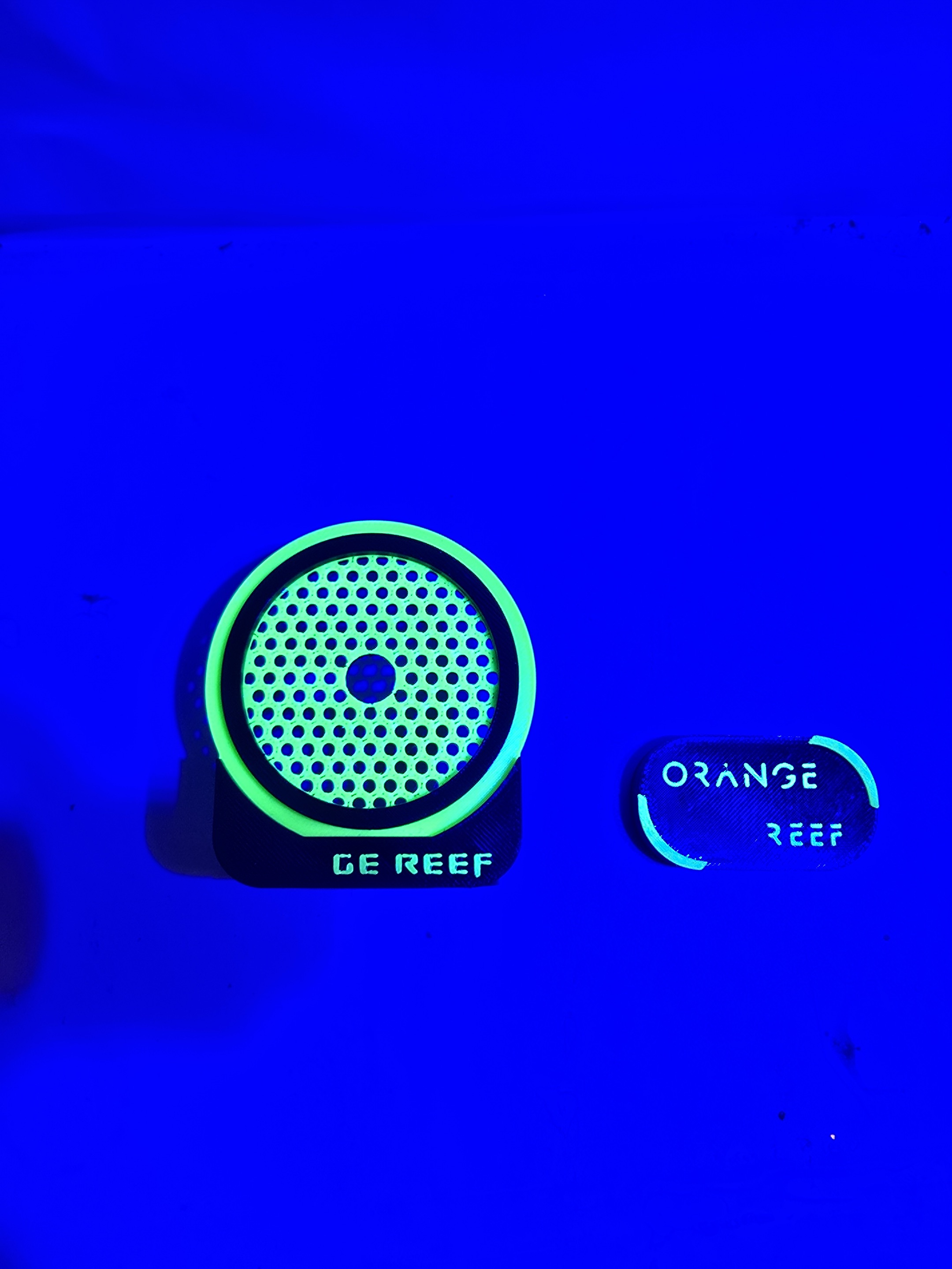 Aquarium Fish That Glow In The Dark - Support magnétique pour corail imprimé en