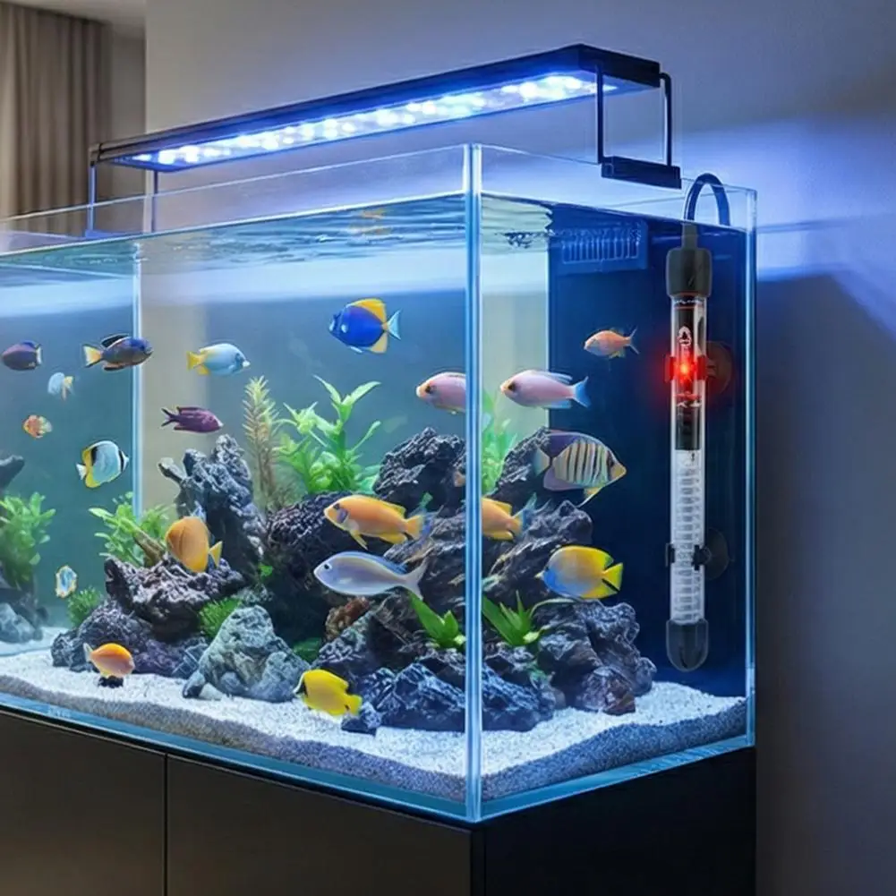 Chauffe-eau d'aquarium réglabl - Aquarium Fish Cold Water avis et prix