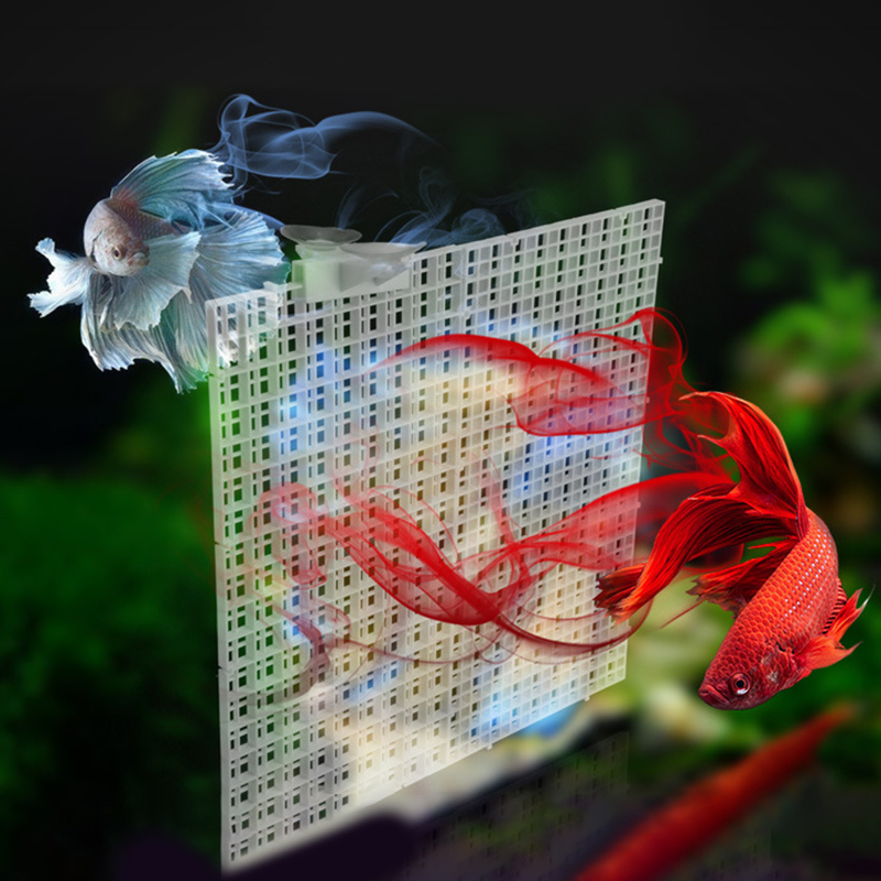 Plaque de Synchronisation de G - Aquarium Fish Net avis et prix