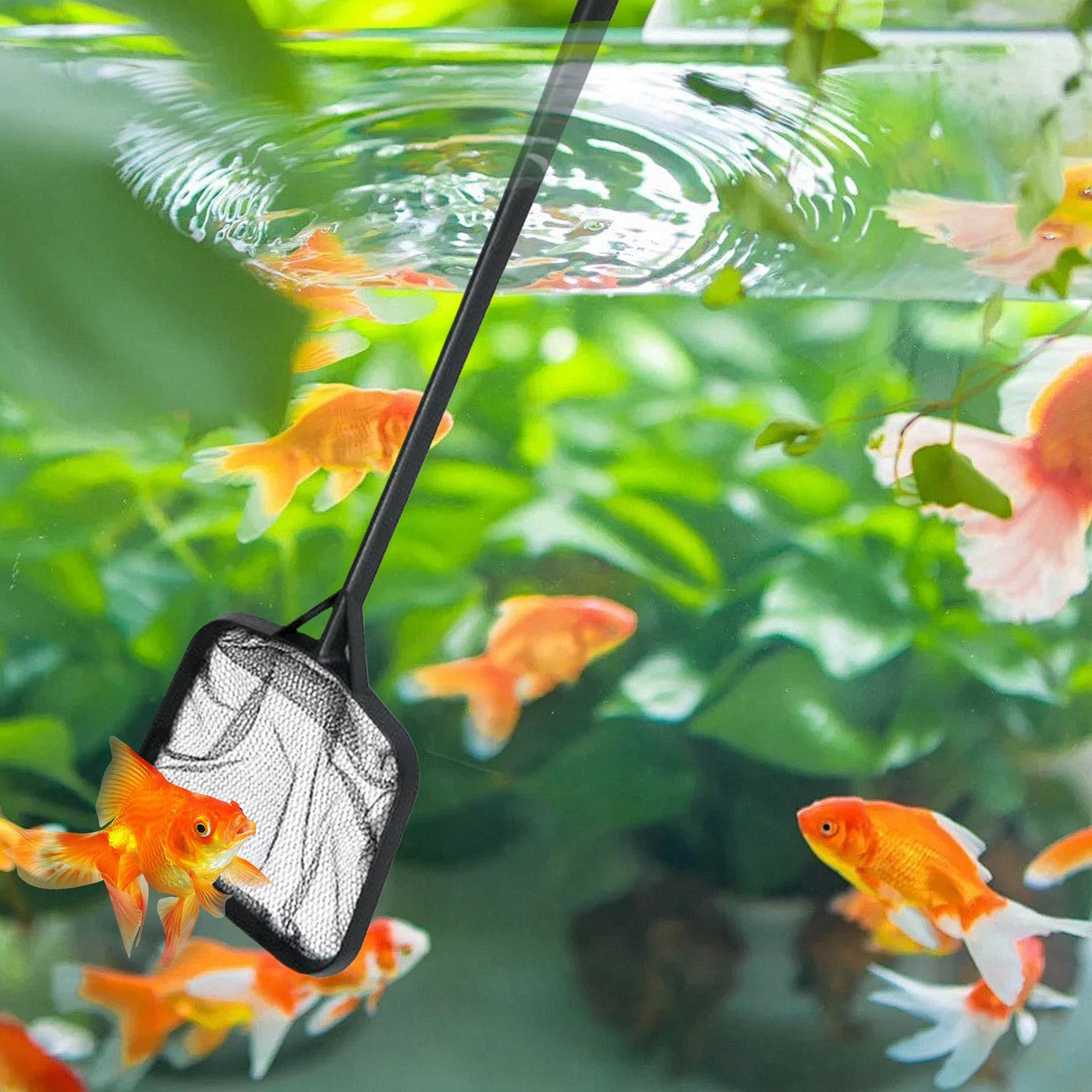 Filets de nettoyage pour pisci - Aquarium Fish Net avis et prix