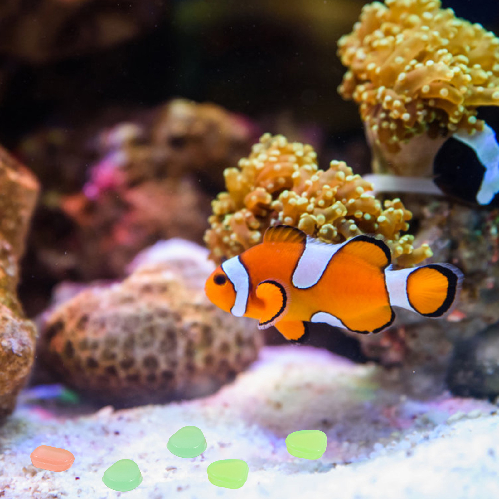 400 pièces de petites pierres  - Aquarium Fish That Glow In The Dark avis et prix