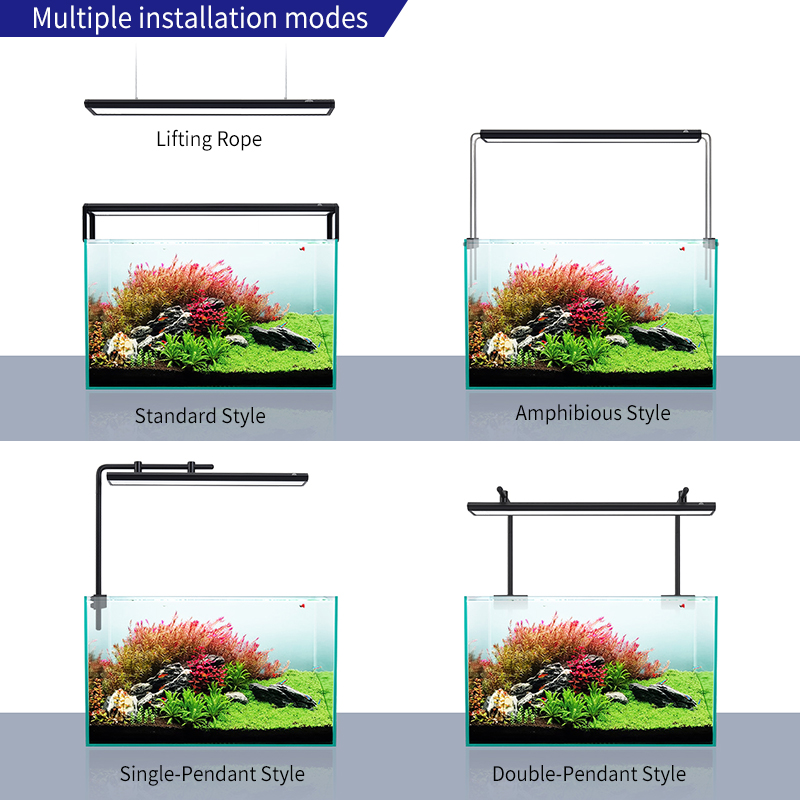ZXY WEEKAQUA V300SE meilleur p - Aquarium Fish And Price avis et prix