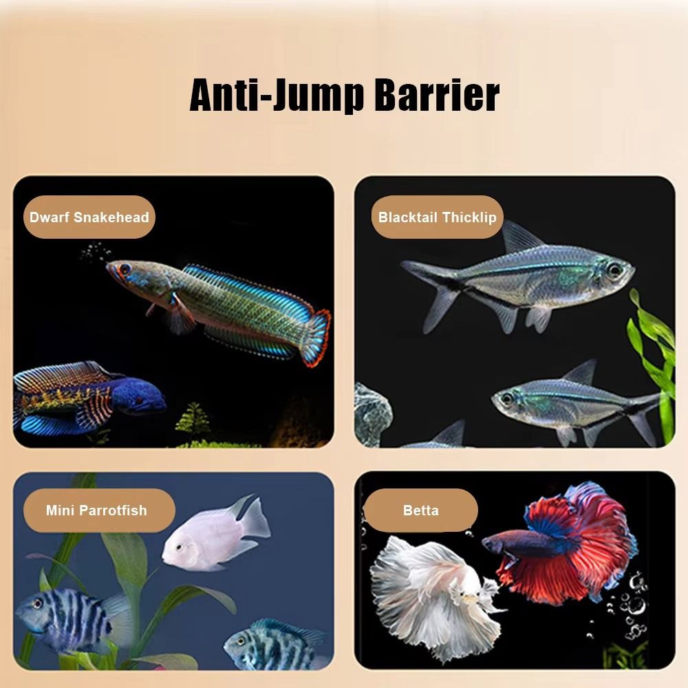 Couvercle magnétique Durable p - Aquarium Fish Net avis et prix