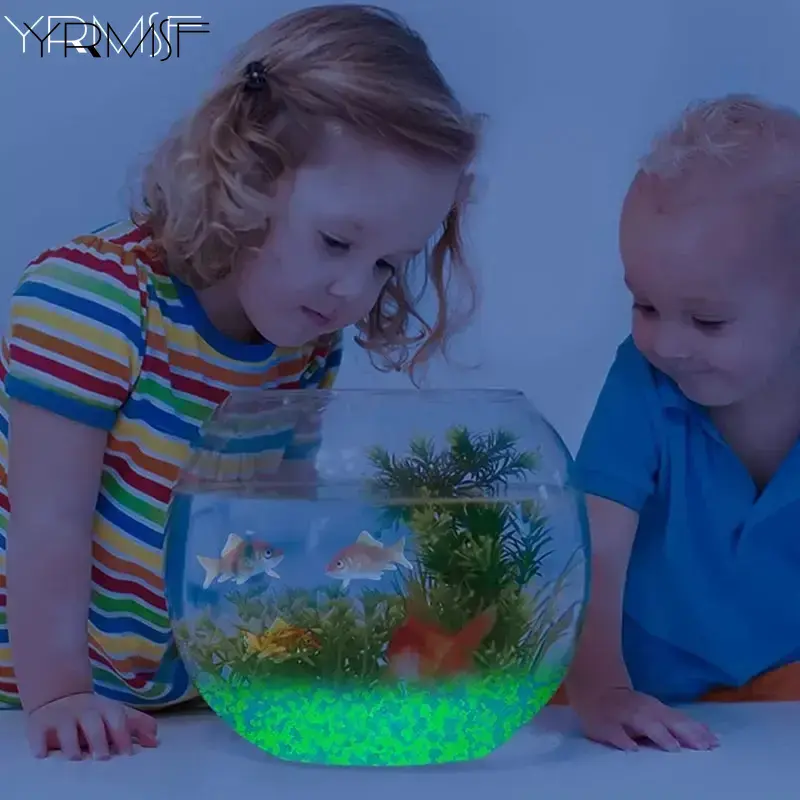 1000 pièces 3-5mm sable lumine - Aquarium Fish That Glow In The Dark avis et prix