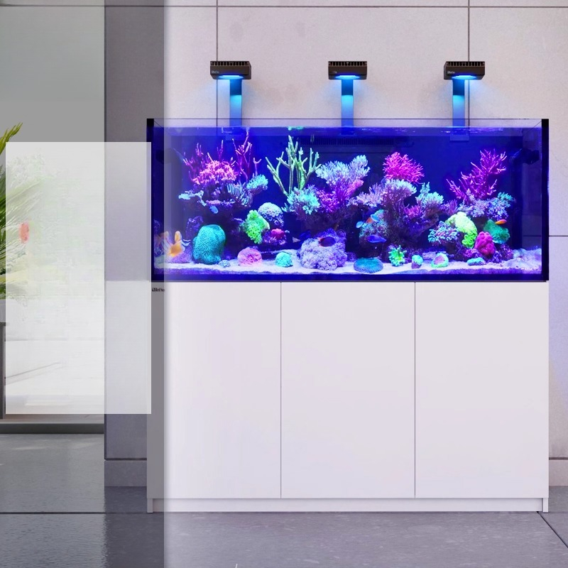 Nouveau Récif Corallien G3+ Pr - Aquarium Fish And Price avis et prix