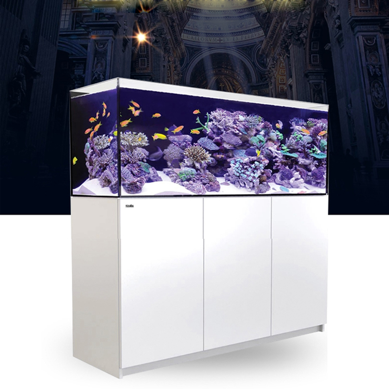 Nouveau Récif Corallien G3+ Pr - Aquarium Fish And Price avis et prix