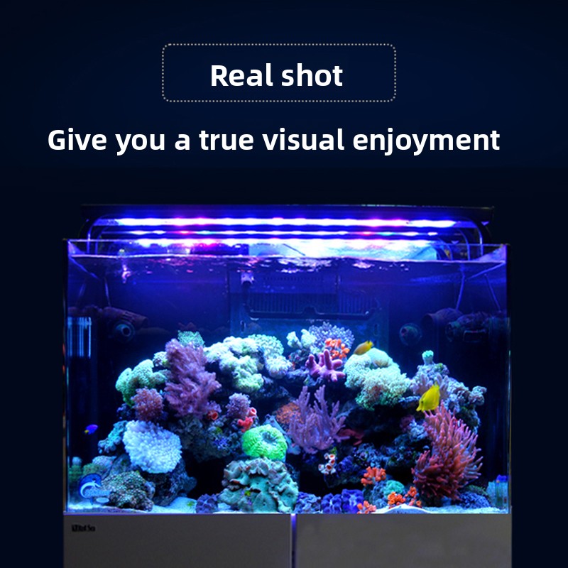 Nouveau Récif Corallien G3+ Pr - Aquarium Fish And Price avis et prix