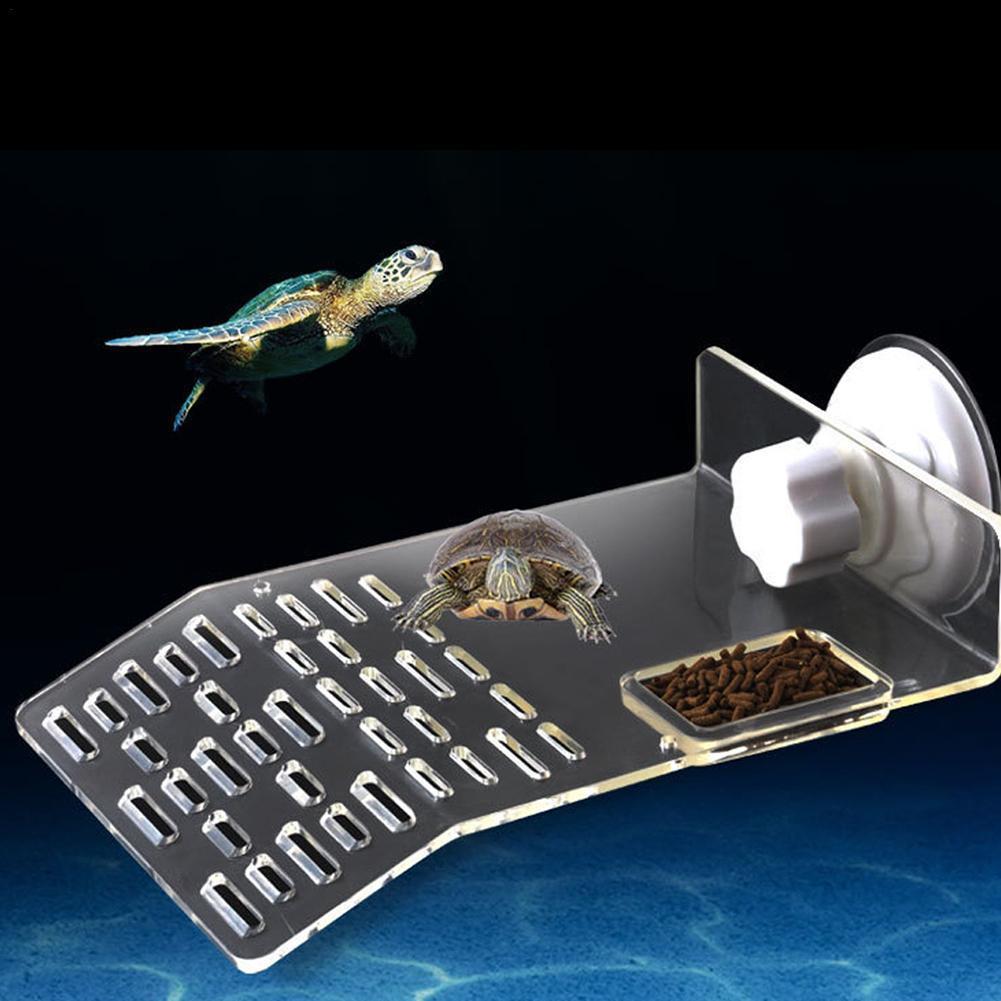 Support de plateforme pour aqu - Aquarium Fishland avis et prix