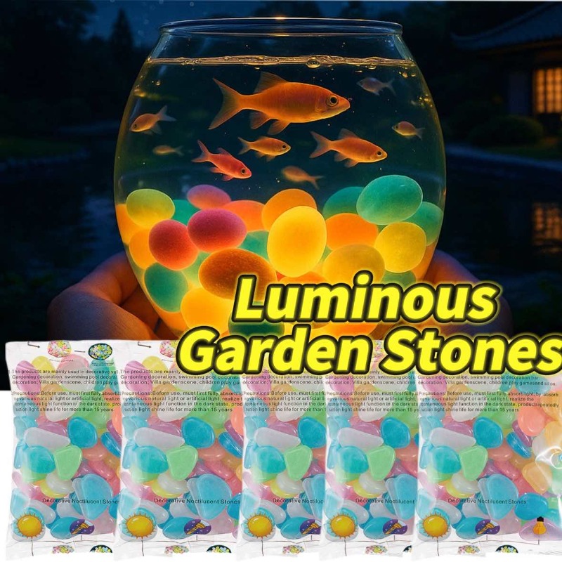 100-1000 pièces de galets lumi - Aquarium Fish That Glow In The Dark avis et prix