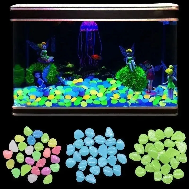 100-1000 pièces de galets lumi - Aquarium Fish That Glow In The Dark avis et prix