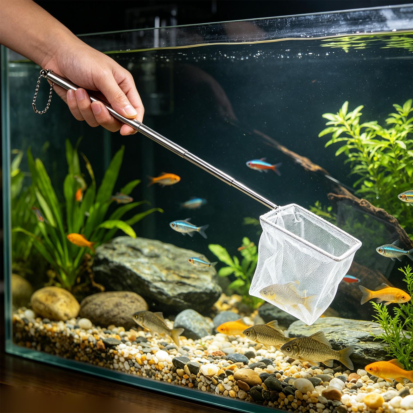 Lot de 2 Petits Épuisettes à P - Aquarium Fishland avis et prix