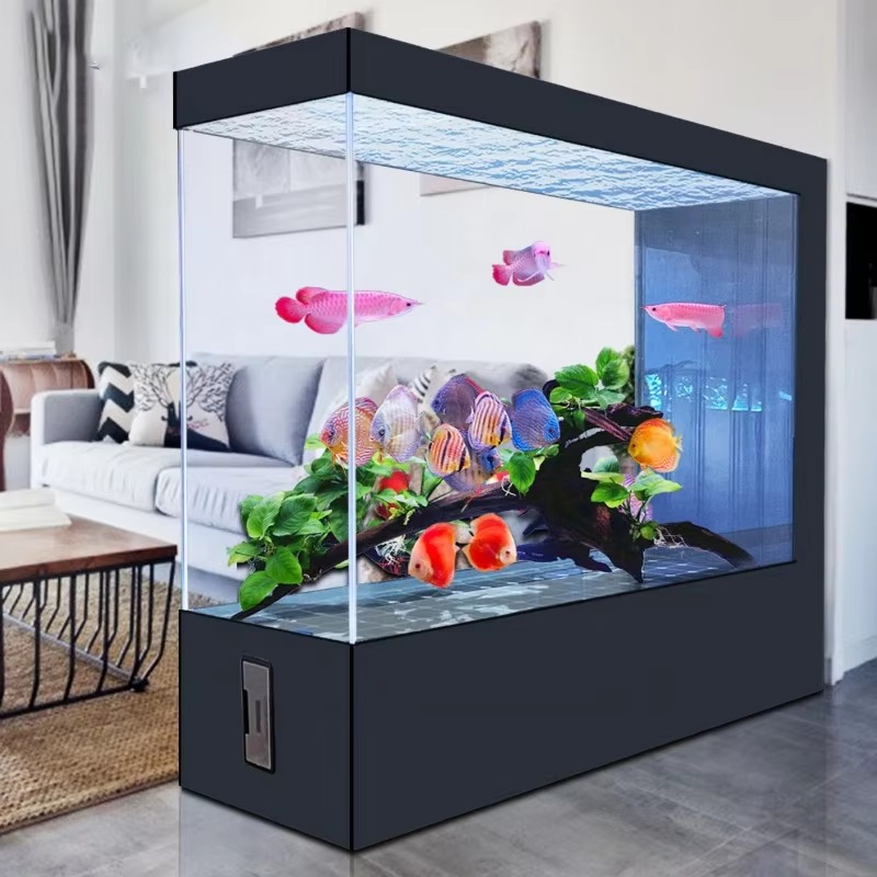 Aquarium en verre noir au desi - Aquarium Fish And Price avis et prix