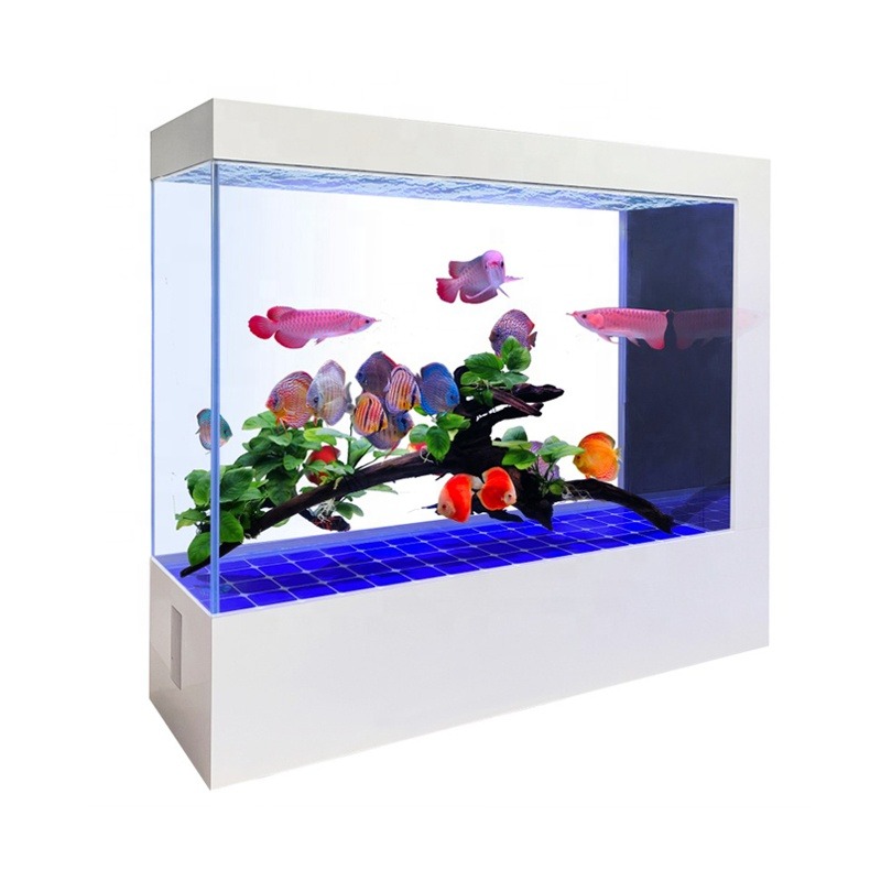Aquarium en verre noir au desi - Aquarium Fish And Price avis et prix