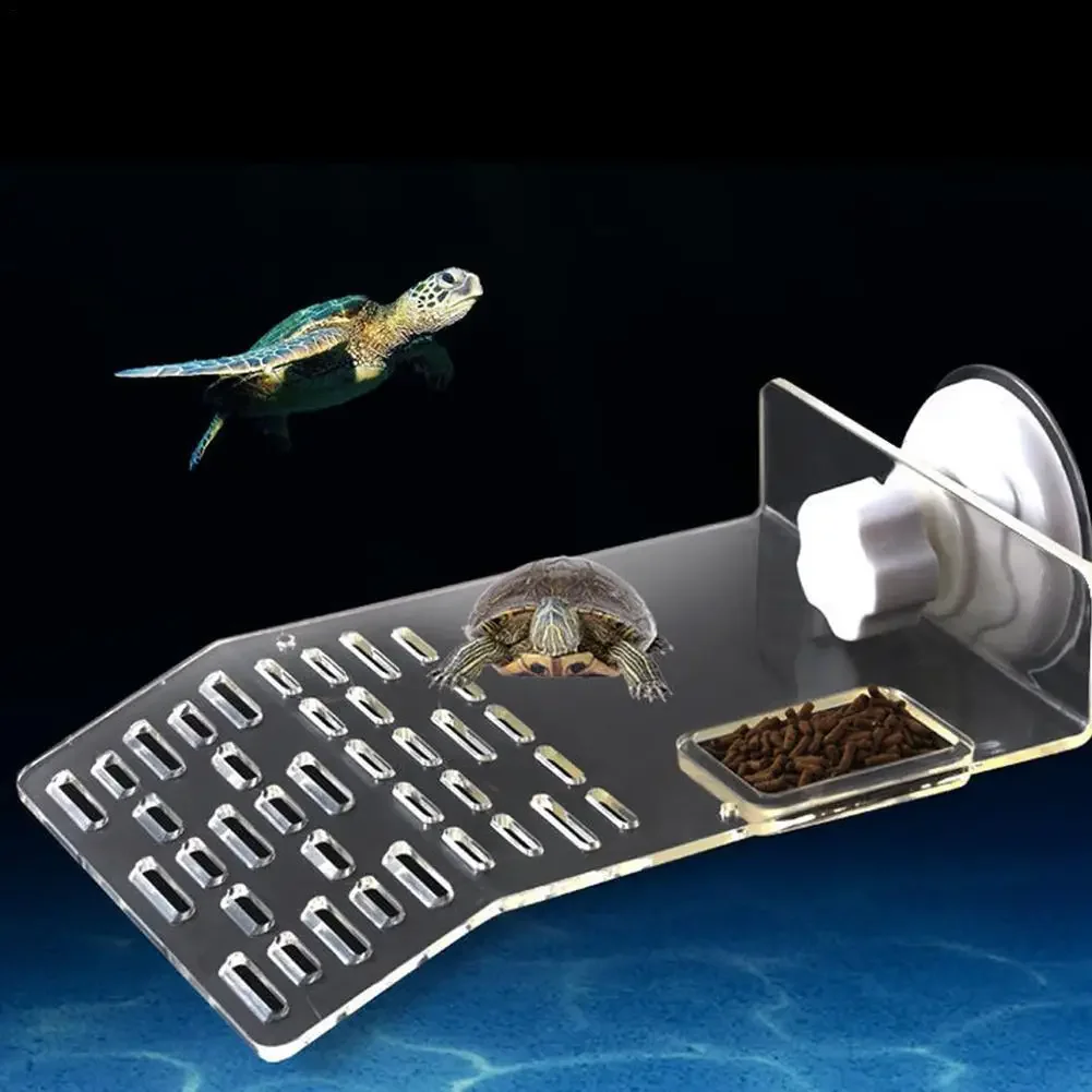 Plateforme de baignade Turtle  - Aquarium Fishland avis et prix