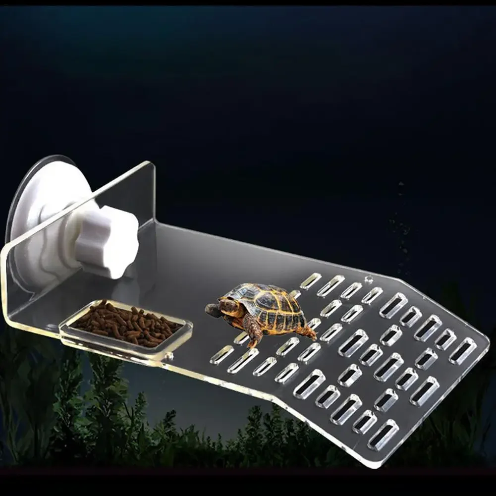 Plateforme de baignade Turtle  - Aquarium Fishland avis et prix