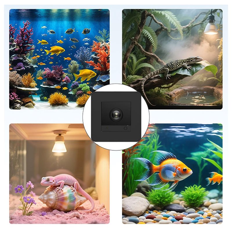 【Chute de prix !】 Caméra pour  - Aquarium Fish And Price avis et prix